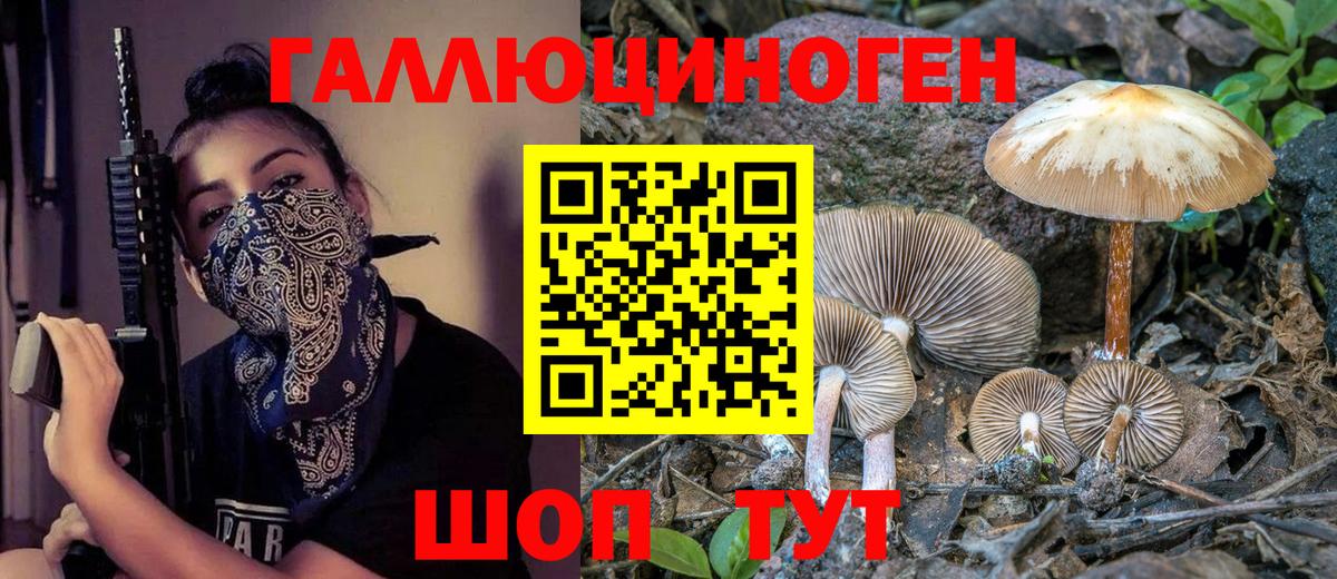 Тайшет  Псилоцибиновые грибы мухоморы  где купить   Вход с VPN  Галлюциногенные грибы прущие грибы 