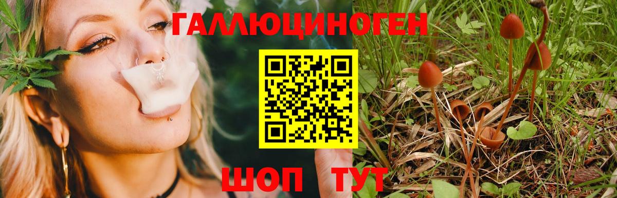 Псилоцибиновые грибы ЛСД Тайшет